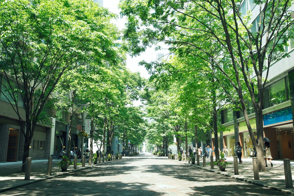 【丸の内仲通り】135年の変遷をたどる、都市のランドスケープ